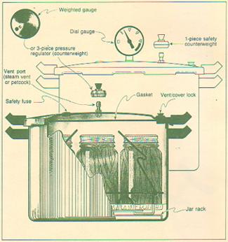 canner graphics 4